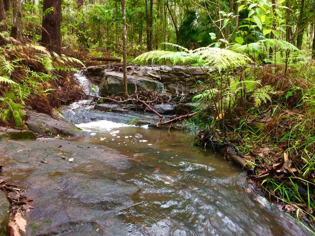 TinbeerwahNoosa Hinterland Retreat公寓 外观 照片